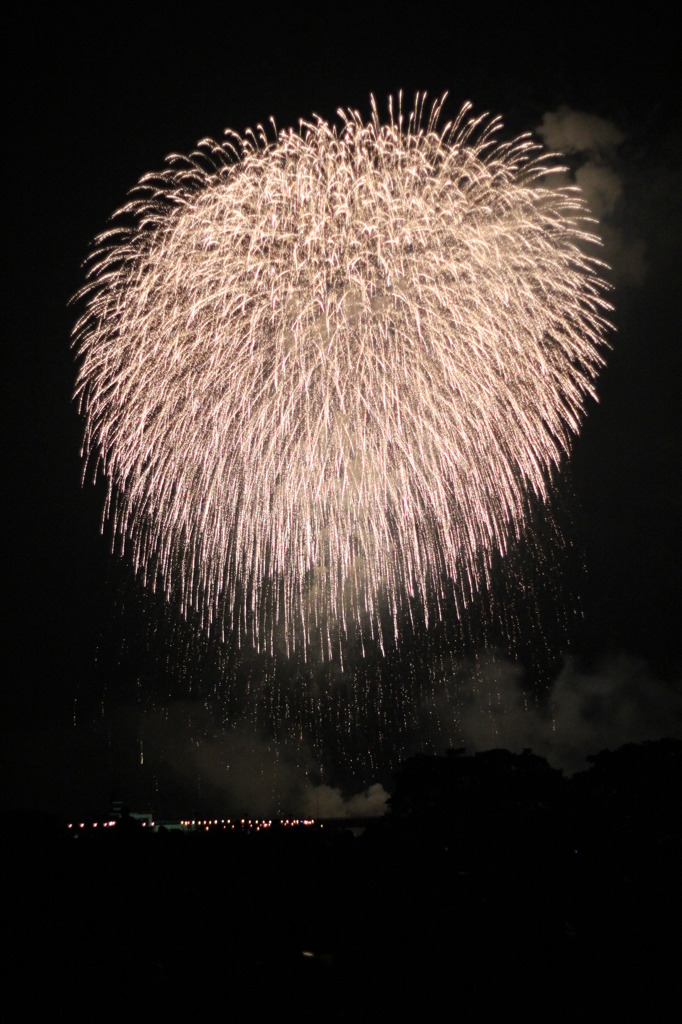 20110802_長岡花火 178