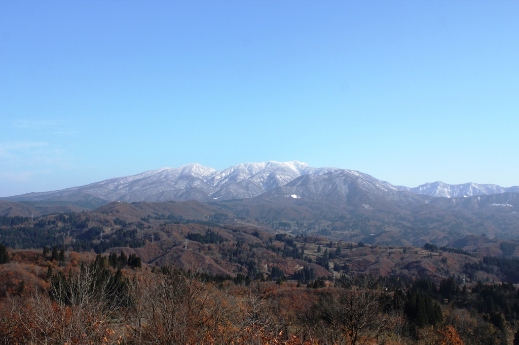 It's winter soon (14)