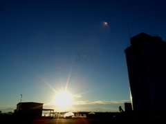 DSCF0446