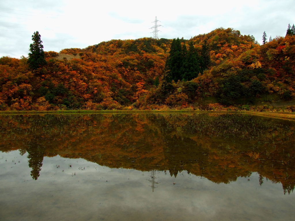 DSCF0330