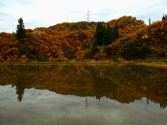 DSCF0330