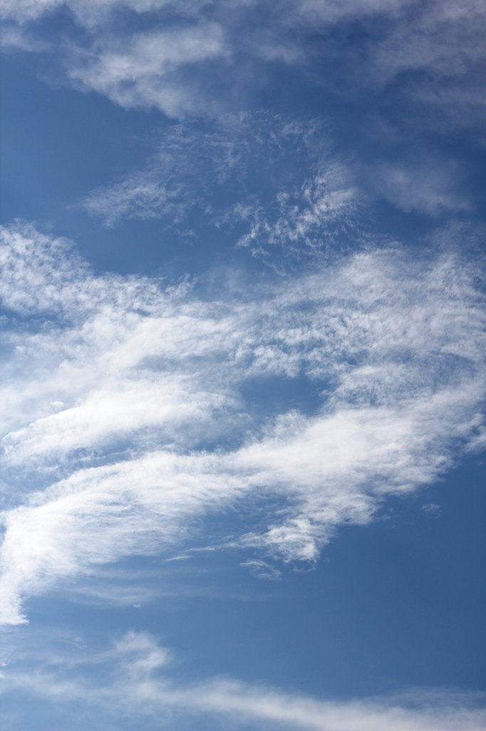 夏空へ雲のらくがき奔放に 1