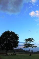 夏　早朝 7
