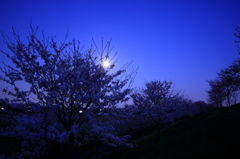 IMG_0016_1_2