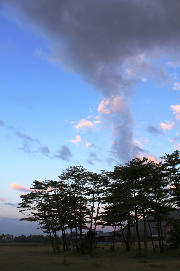 夏　早朝 5