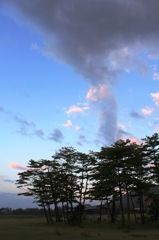 夏　早朝 5