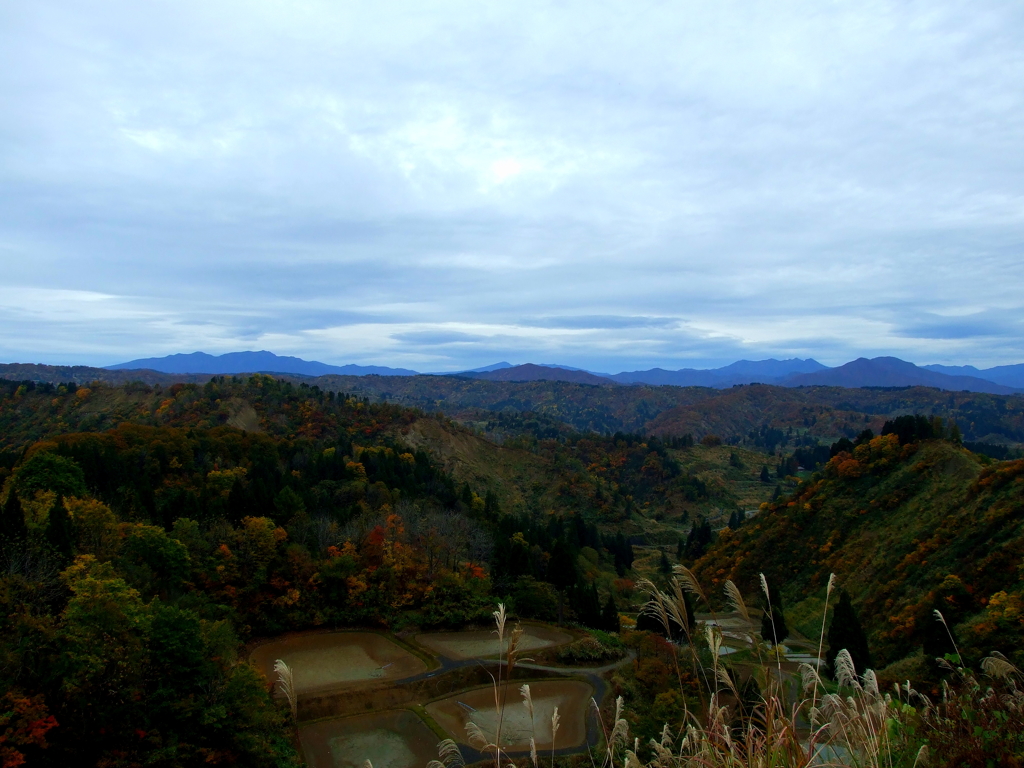 DSCF0347