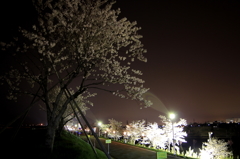 IMG_0004_1_2