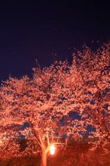 IMG_0068_1