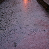 IMG_0016_1_3