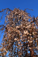 IMG_0002_1