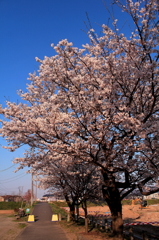 IMG_0004_1