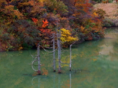 DSCF0345