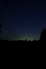 IMG_0035_1