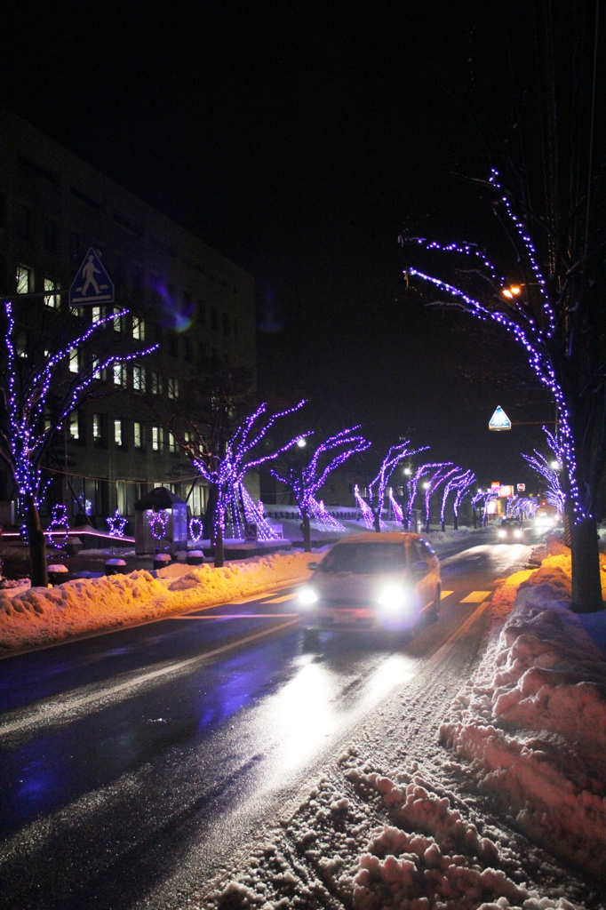 Winter has come. 04