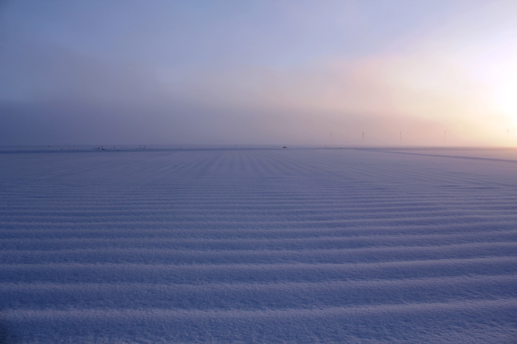 snowy field 06