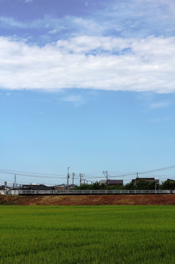 夏空へ雲のらくがき奔放に 2