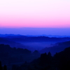 IMG_0018_1