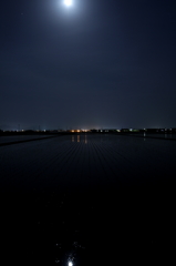 IMG_0092_1