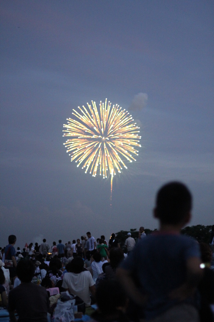 20110802_長岡花火 015