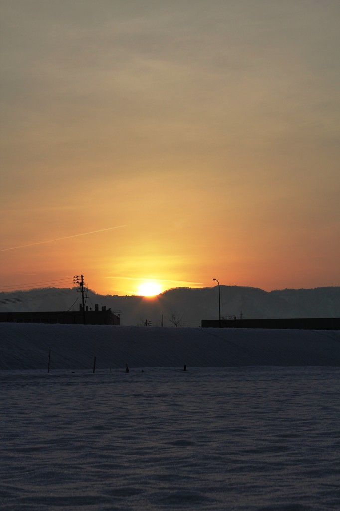 20110226_雪の日の朝 (3)