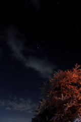 IMG_0107_1