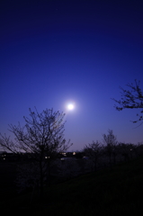 IMG_0024_1_2