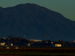 DSCF0448