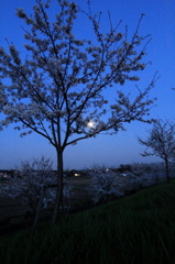 IMG_0008_1