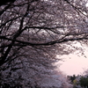 IMG_0045_1