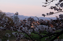IMG_0047_1