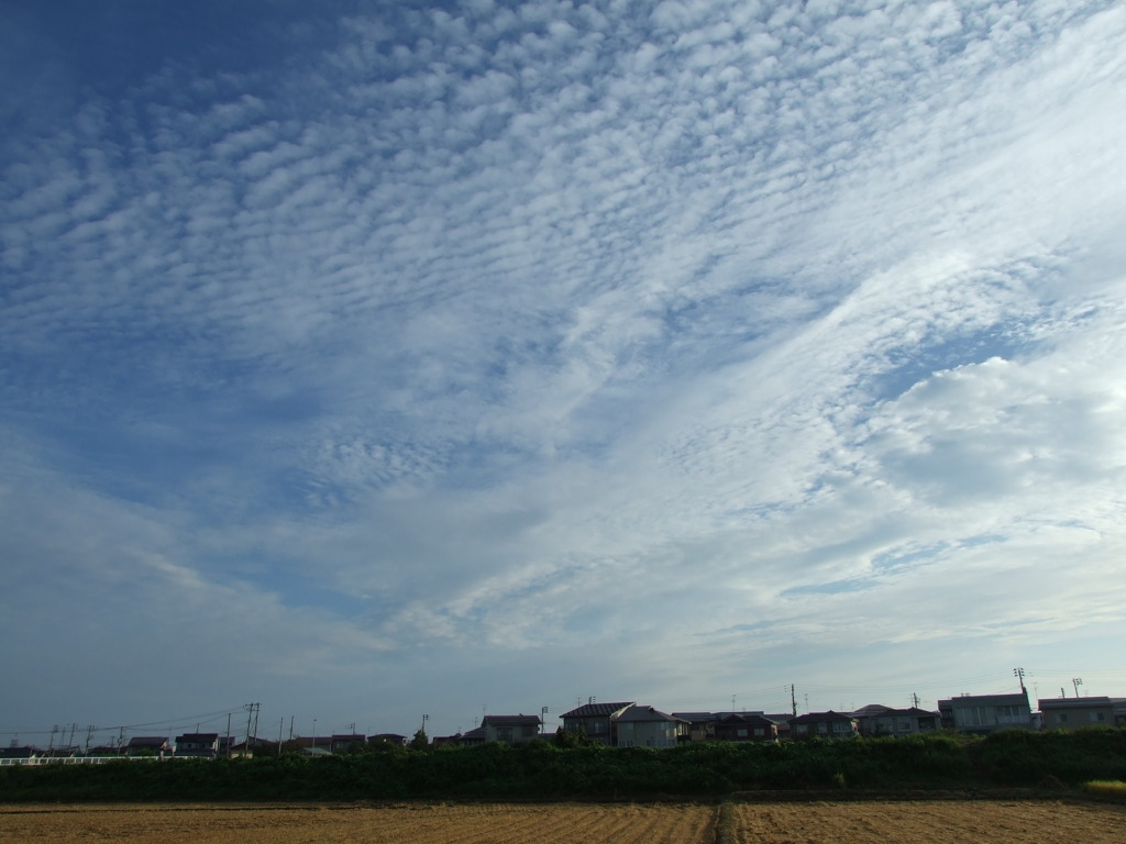 20090921_雲 003