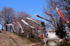 IMG_0038_1