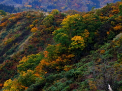 DSCF0355