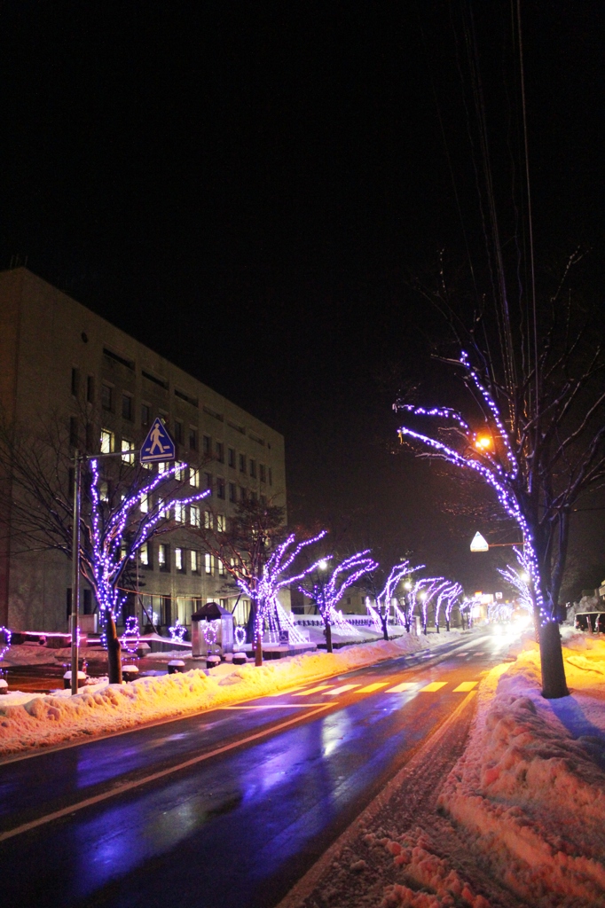 Winter has come. 02