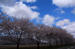 IMG_0014_1