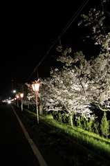 IMG_0007_1
