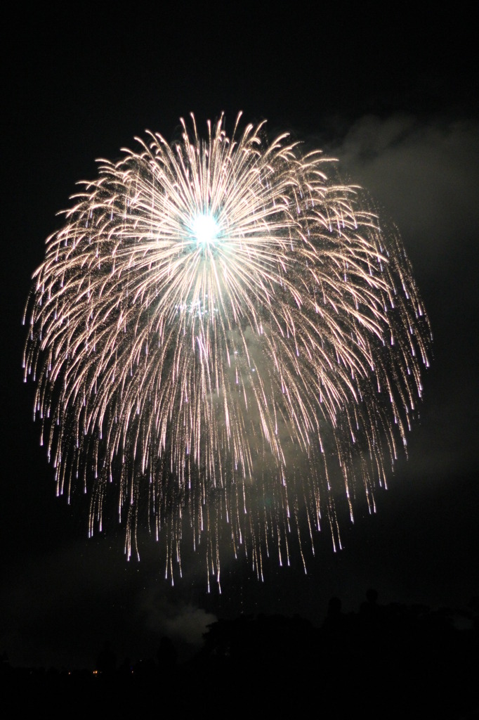 20110802_長岡花火 367