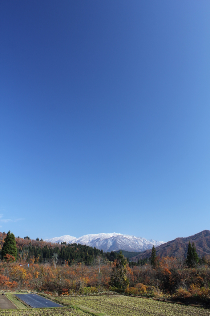 It's winter soon (9)