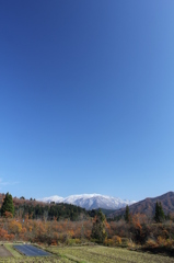 It's winter soon (9)