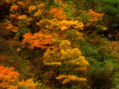 DSCF0339