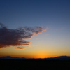 IMG_2293