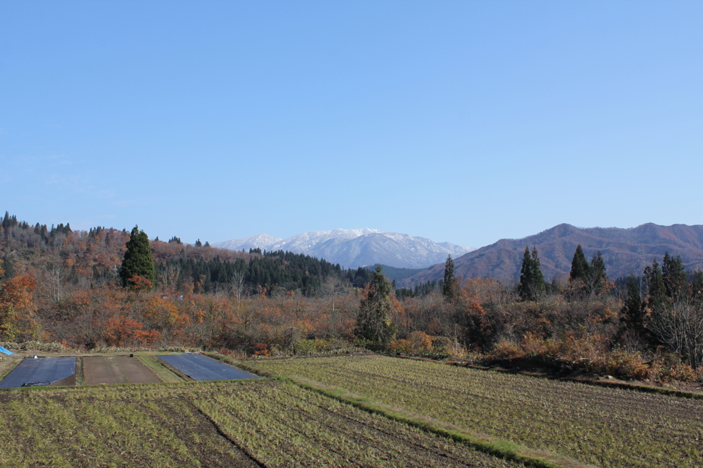 It's winter soon (7)