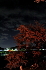 IMG_0083_1