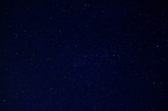 IMG_0065_1