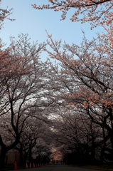 IMG_0034_1