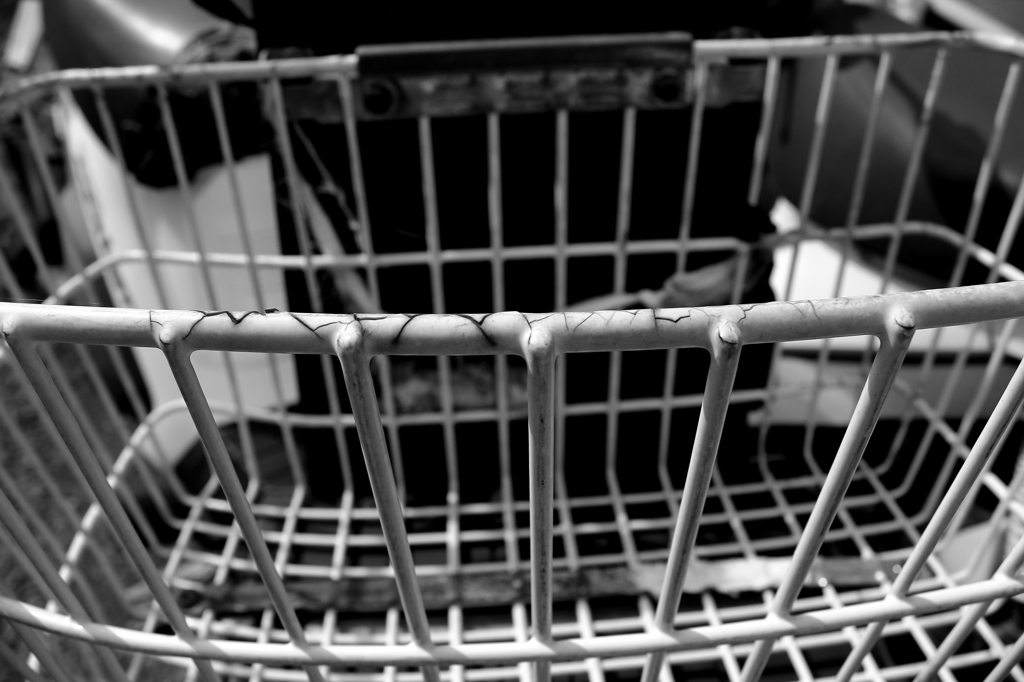 IMG_0393