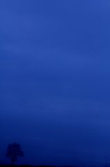 Img_0020_1