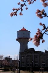 IMG_0030_1