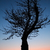 IMG_0006_1_2